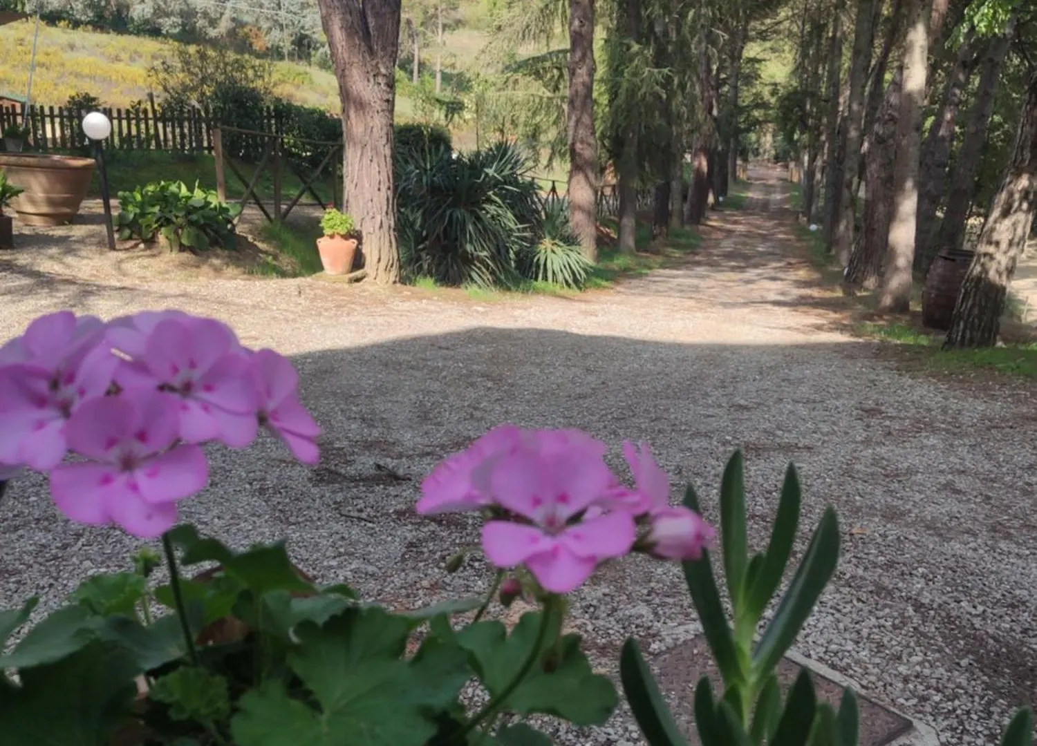 Country house Antico Podere Il Bugnolo Guest House Poggibonsi Italy