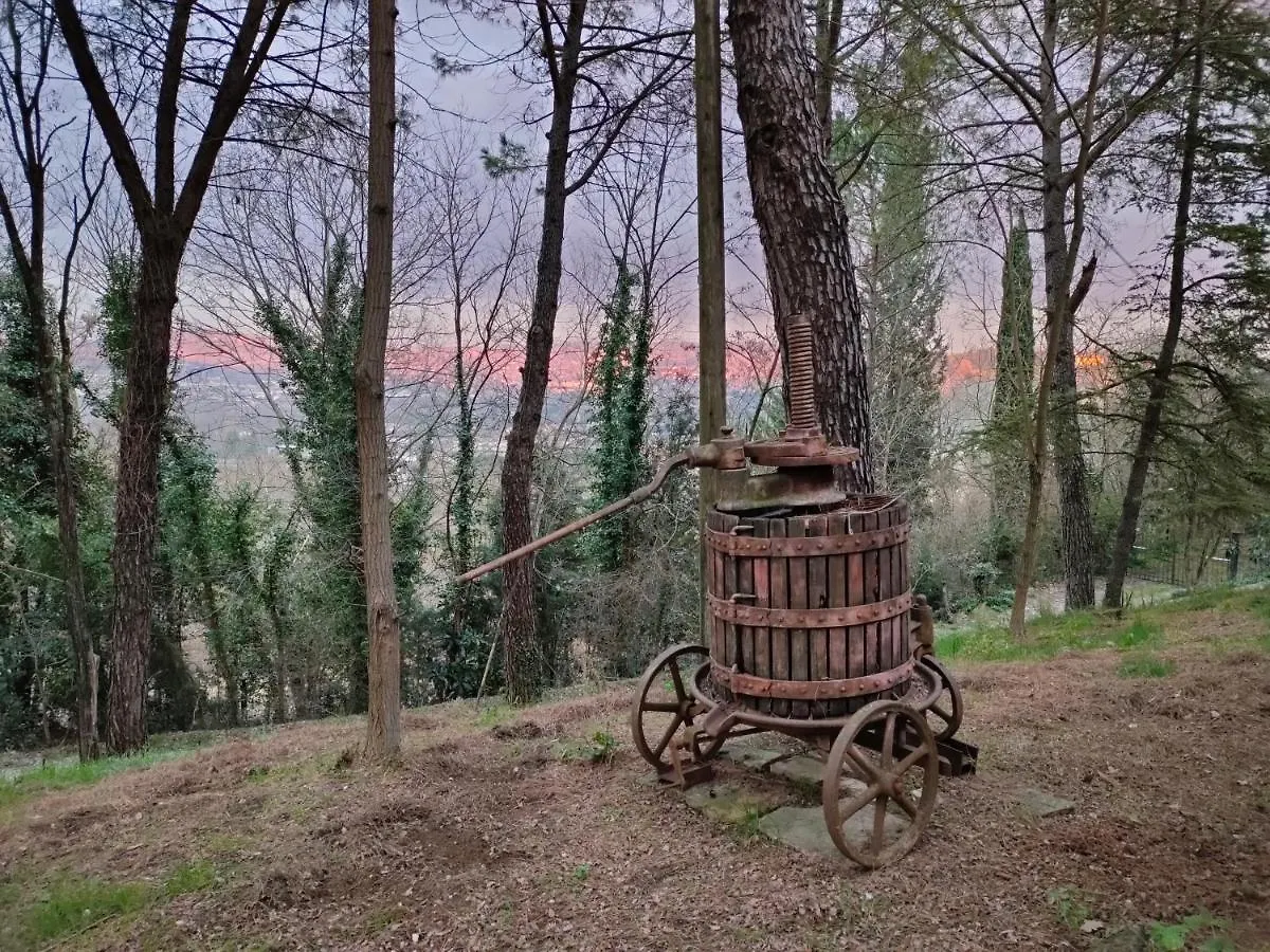 Antico Podere Il Bugnolo Guest House Poggibonsi 0*,  Italy